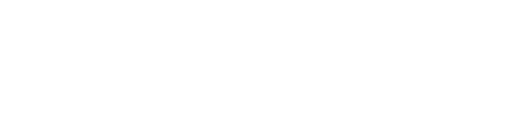 venvivo