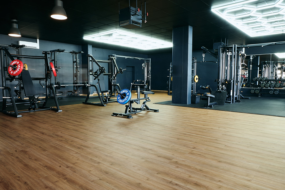 Studio 7