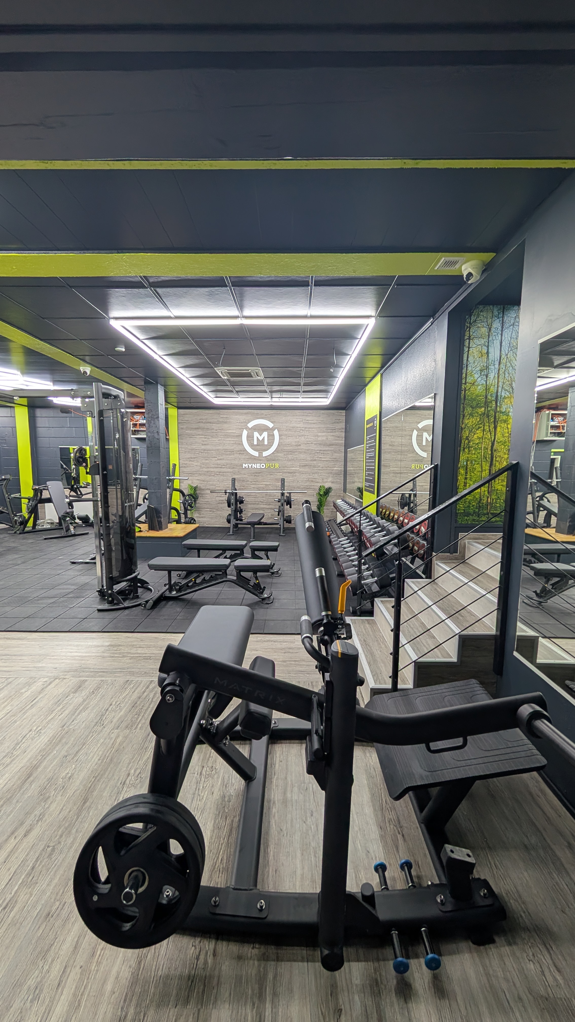 Studio 15